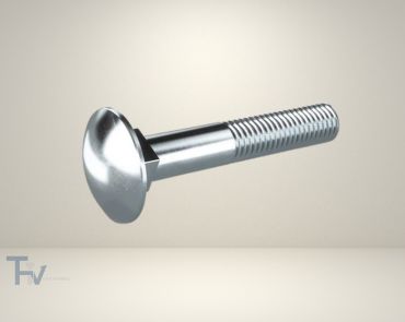 A single, polished carriage bolt/screw from THV Fasteners, featuring a smooth, domed head and a square neck for secure, anti-rotation fastening in wood-to-metal applications.